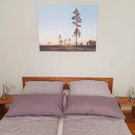 Ferienwohnung Kommunikation 5 公寓 *